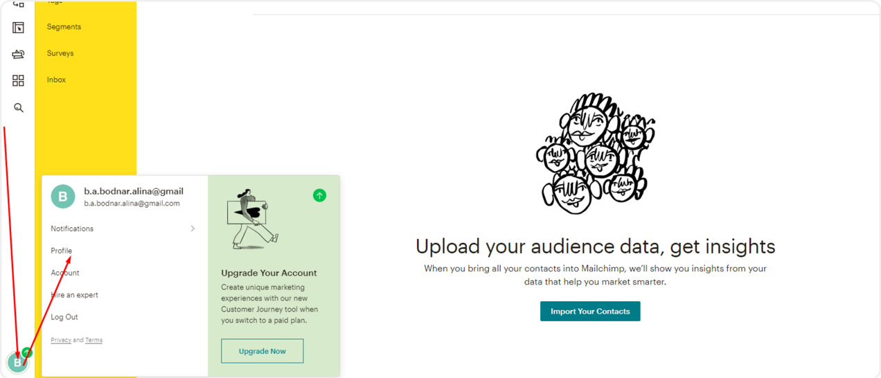Раздел "Profile" в личном кабинете Mailchimp