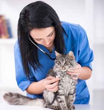 В My Ipakitine всегда актуальные цены на Иакитине!