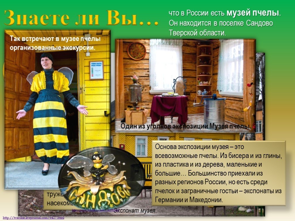 нет картинки