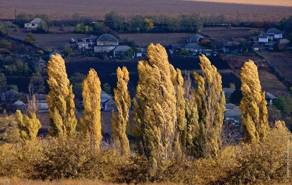 фото А. Паламарь 