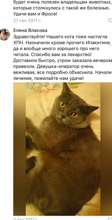 Результаты исследований говорят об эффективности Ипакитине