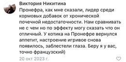 Пронефра форум и отзывы покупателей