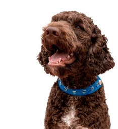 Веторил действие при отказе от терапии после улучшения состояния