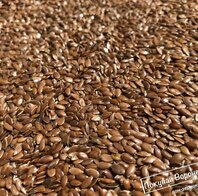 овес зерновые корма для сельхоз животных оптом от 20 тонн