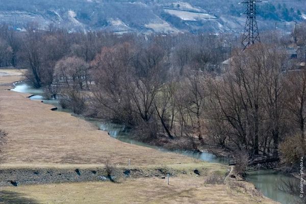 фото А. Паламарь 