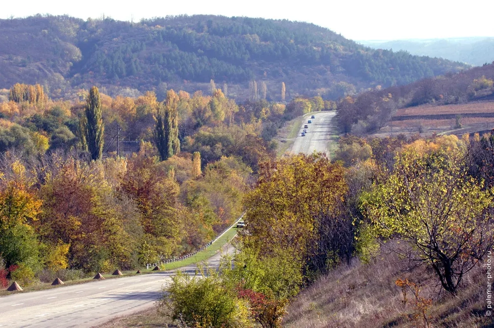 фото А. Паламарь 