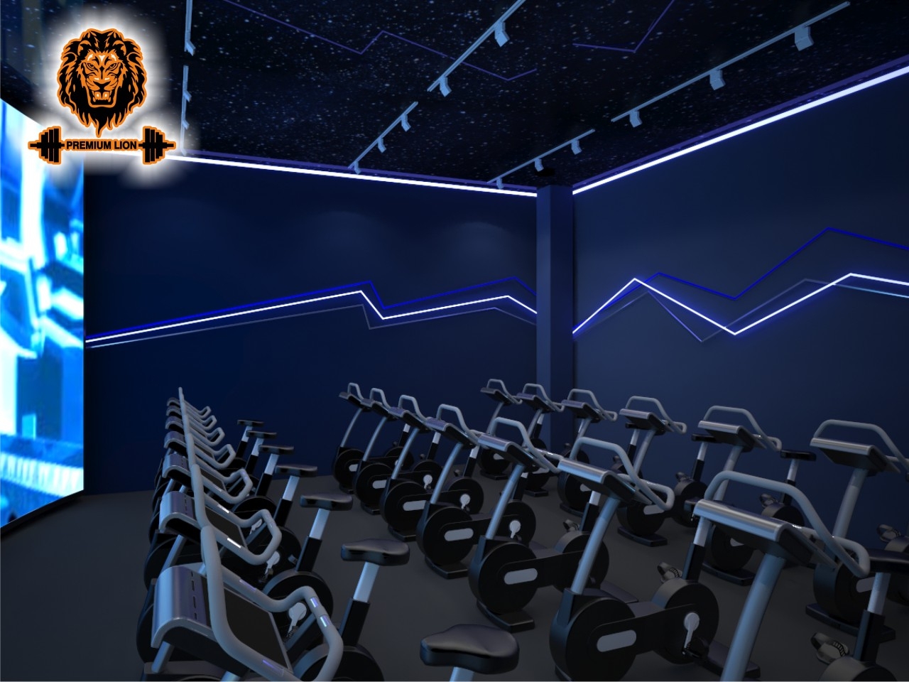 Фитнес-центр \"Premium Lion\", г. Лобня ул. Катюшки 55