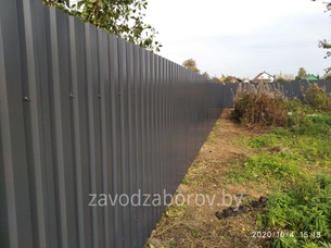 Забор из металлорофиля