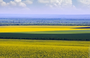 Слободзейский район ПМР. фото А.Паламарь 