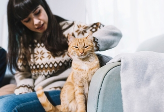 Лечение ХПН у кошек оригинальный препаратом Ипакитине из Франции