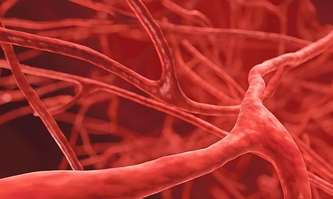 Фармакодинамика и фармакокинетика