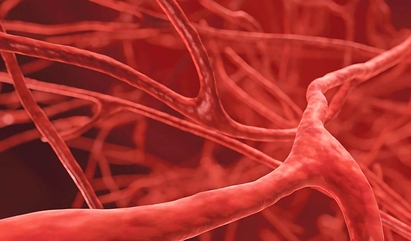 Фармакодинамика и фармакокинетика