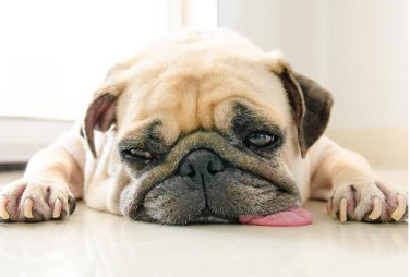 Какие симптомы говорят о болезни почек