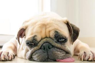 Какие симптомы говорят о болезни почек