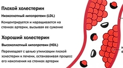 Препараты для снижения холестерина