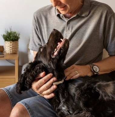 Уход за кошкой и собакой с хронической почечной недостаточностью 