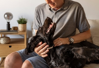 Как владельцы кошек и собак могут обеспечить уход за своими питомцами с ХПН