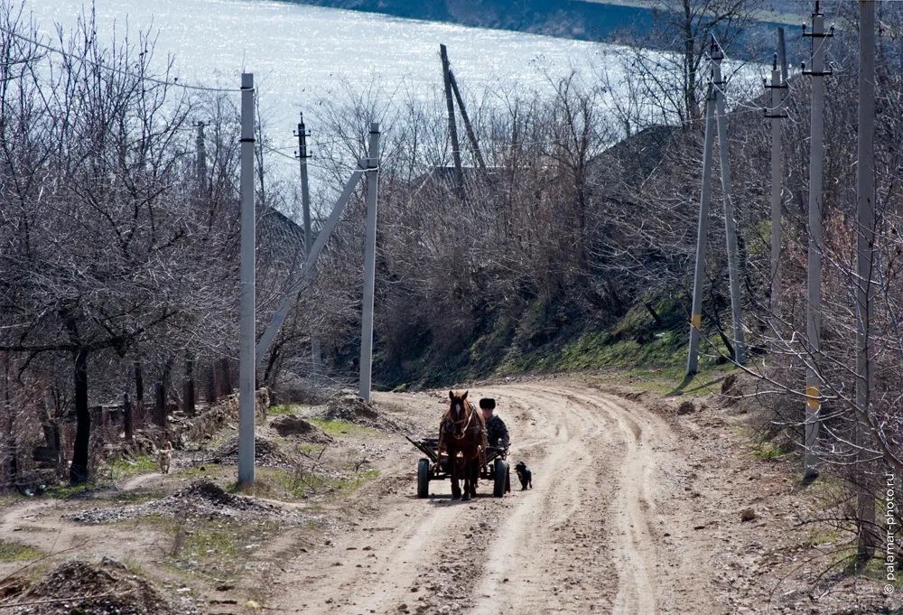 фото А. Паламарь 
