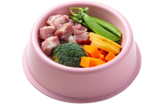 Лечение ХПН у собак