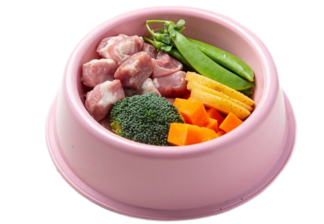 Лечение ХПН у собак