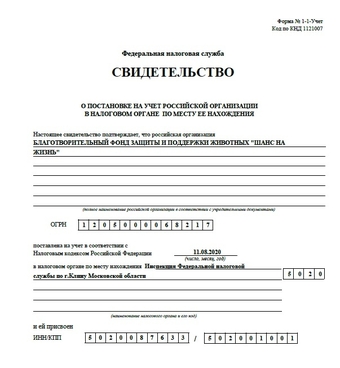 приют для лошадей шанс на жизнь московская область. Смотреть фото приют для лошадей шанс на жизнь московская область. Смотреть картинку приют для лошадей шанс на жизнь московская область. Картинка про приют для лошадей шанс на жизнь московская область. Фото приют для лошадей шанс на жизнь московская область