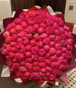 101 peony flowers Dubai 