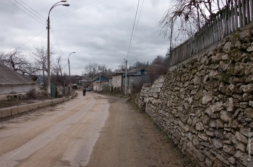 фото А. Паламарь 