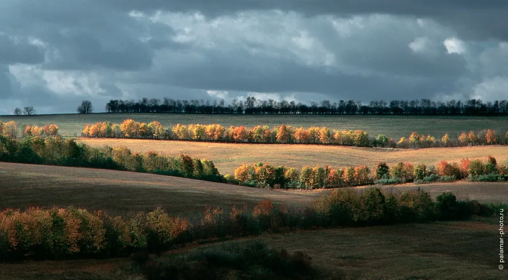 фото А. Паламарь 