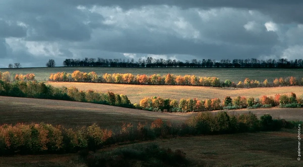 фото А. Паламарь 