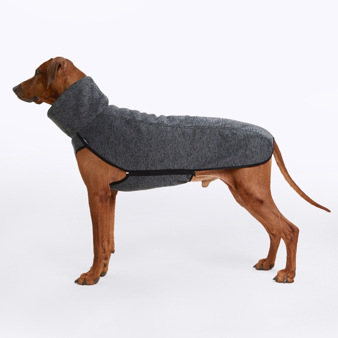 Weimaraner clothes for sales dog