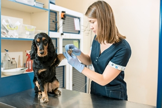 Какие побочные действия при применении Пронефра