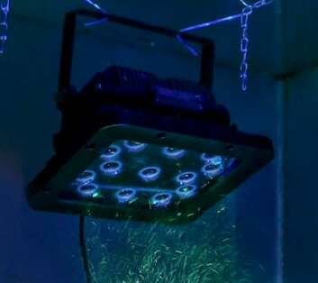Водо и пыленепроницаемый ультрафиолетовый осветитель