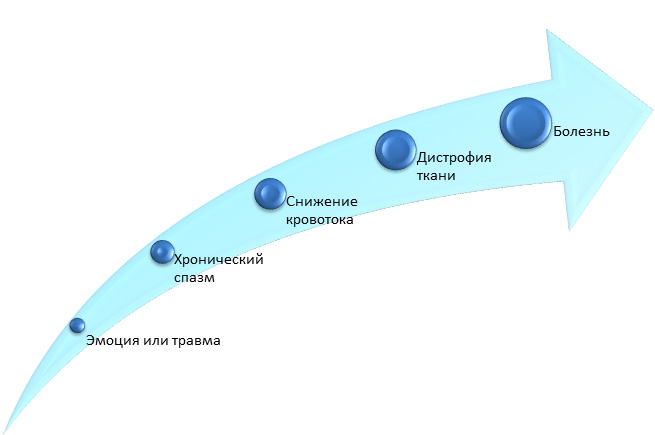 Остеопат об эмоции и травме