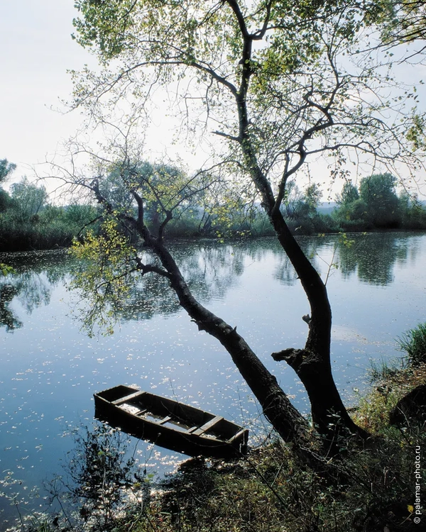 фото А. Паламарь 