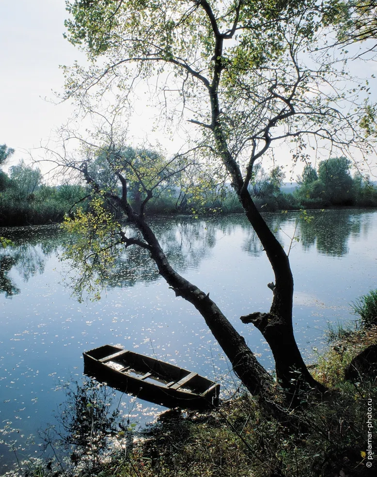 фото А. Паламарь 