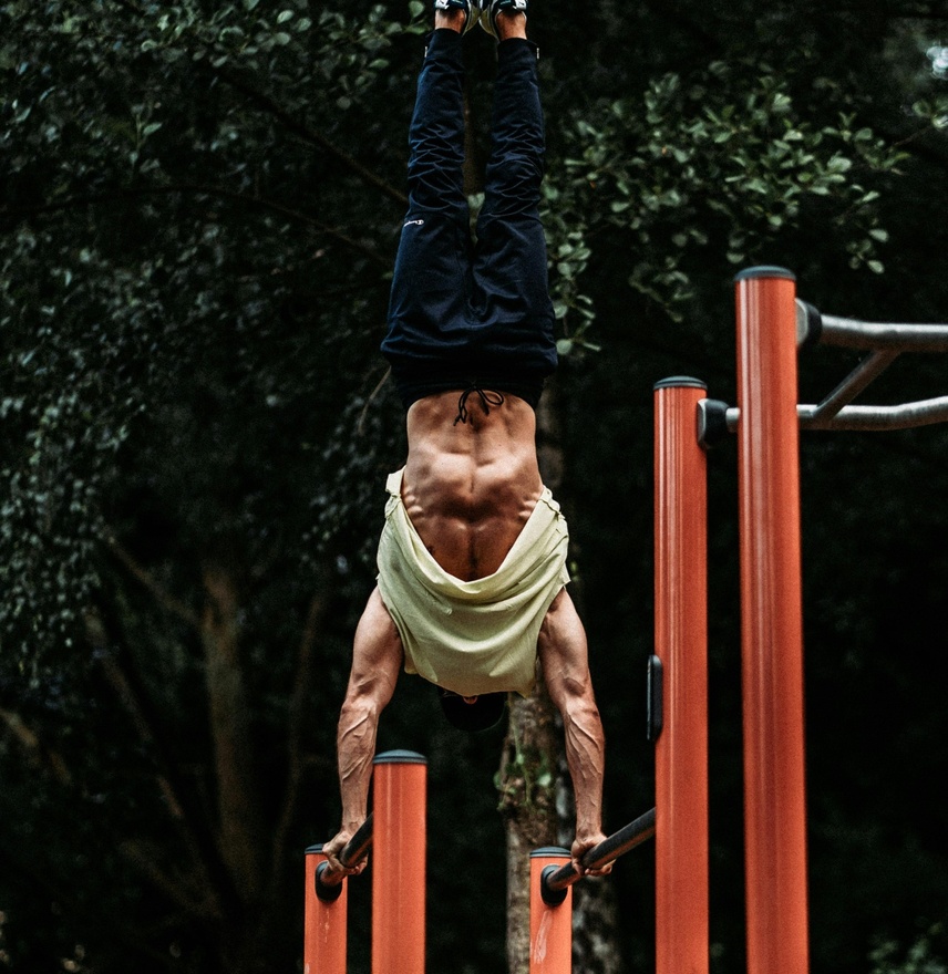 Workout фитнес тренировки