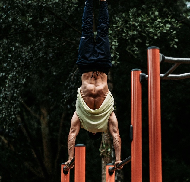 Workout фитнес тренировки