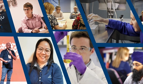 Кем разработан и и кем выпускается Веторил