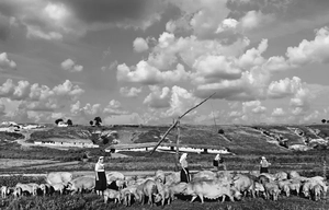 Фото из Архива Союза фотохудожников Приднестровья МОЁ Приднестровье. Григориопольский район