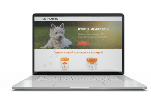 Где купить Ипакитине для кошек в СПБ