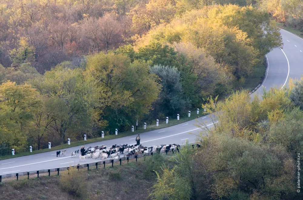фото А. Паламарь 