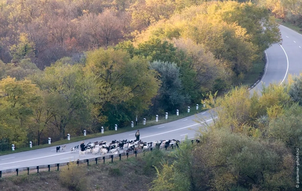 фото А. Паламарь 