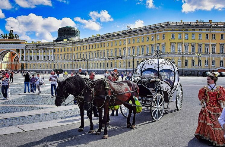 лошади на дворцовой площади
