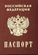 Паспорт гражданина РФ