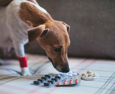 Купить Пронефра с инструкцией по выгодной цене