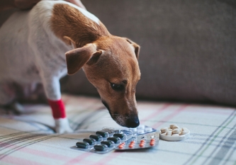 Купить Пронефра с инструкцией по выгодной цене