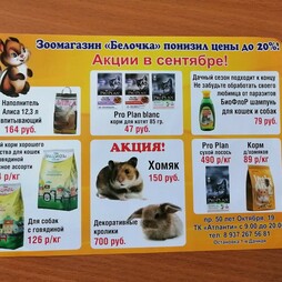 рекламный буклет типография Саратов
