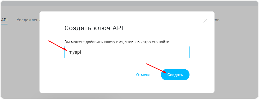 Название API ключа
