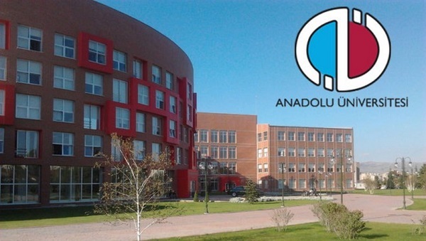 anadolu университет