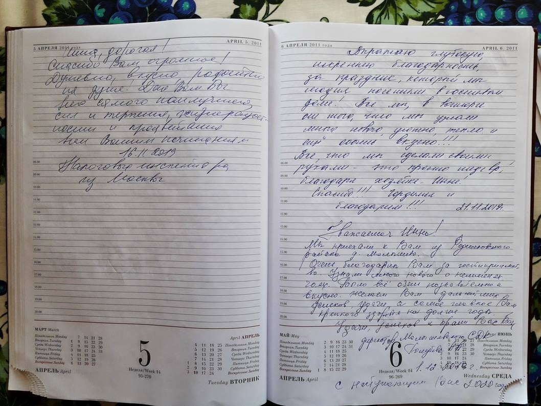 отдых на волге отзывы